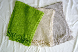 �o�i�i���X�g�[��