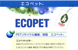 �G�R�y�b�g�X�g�[��