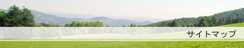 �T�C�g�}�b�v